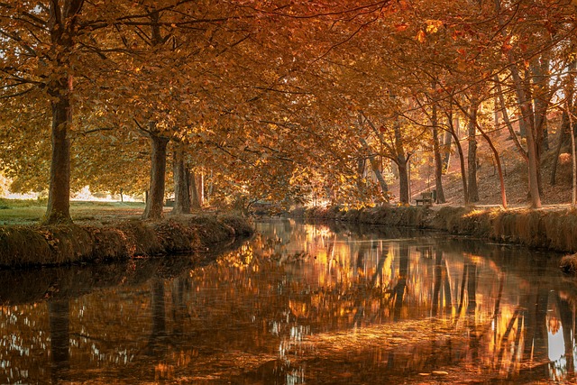 ilustración paso a paso de procesos de e-commerce con iconos de checklist, caja, camión y mensaje