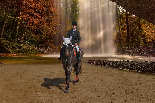 personas conversando con portátil sobre ecommerce sostenible y preguntas frecuentes